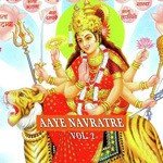 Aaye Navrate Vol. 2 - Jagdish Bhardwaj Song Download